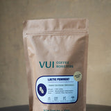 Lactic Ferment (Medium-Dark)