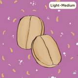 Double Ferment (Light - Medium)