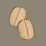 Robusta