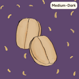 Lactic Ferment (Medium-Dark)