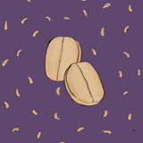 Lactic Ferment (Medium-Dark)