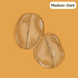Yellow Honey (Medium - Dark)